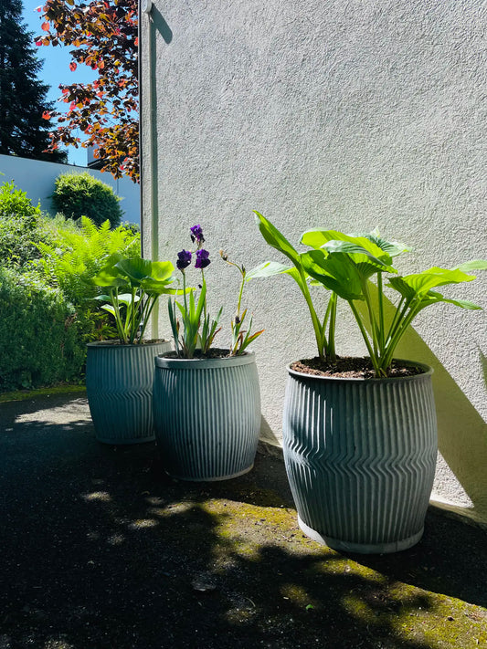 Dolly Tubs aus England