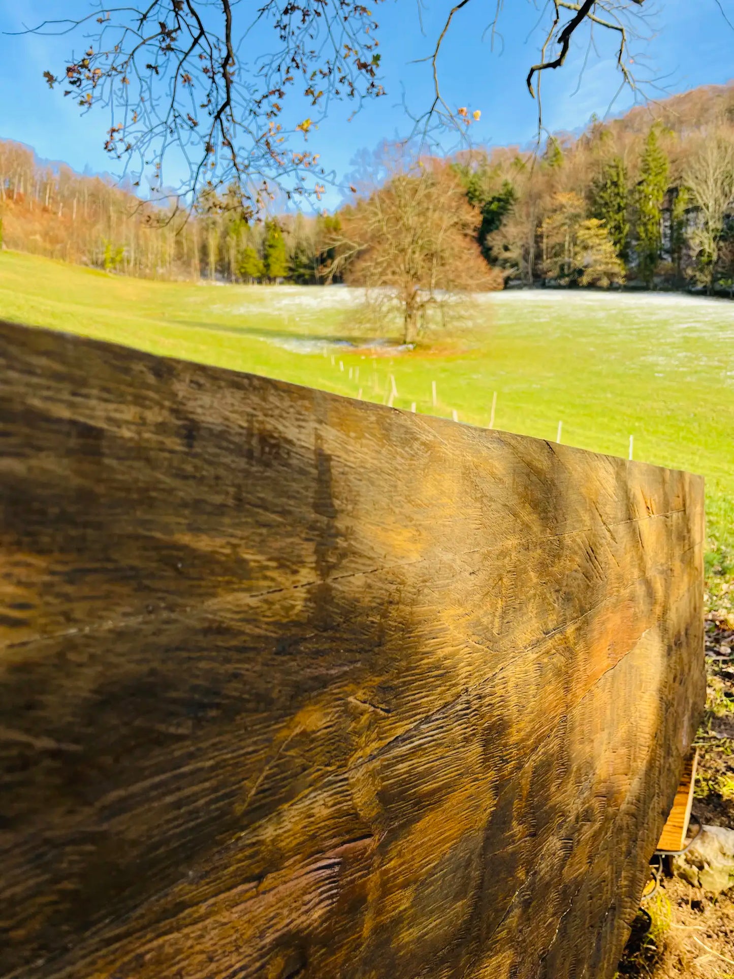 Eichenbrunnen – Künstlerisches Unikat aus Eiche und Stahl