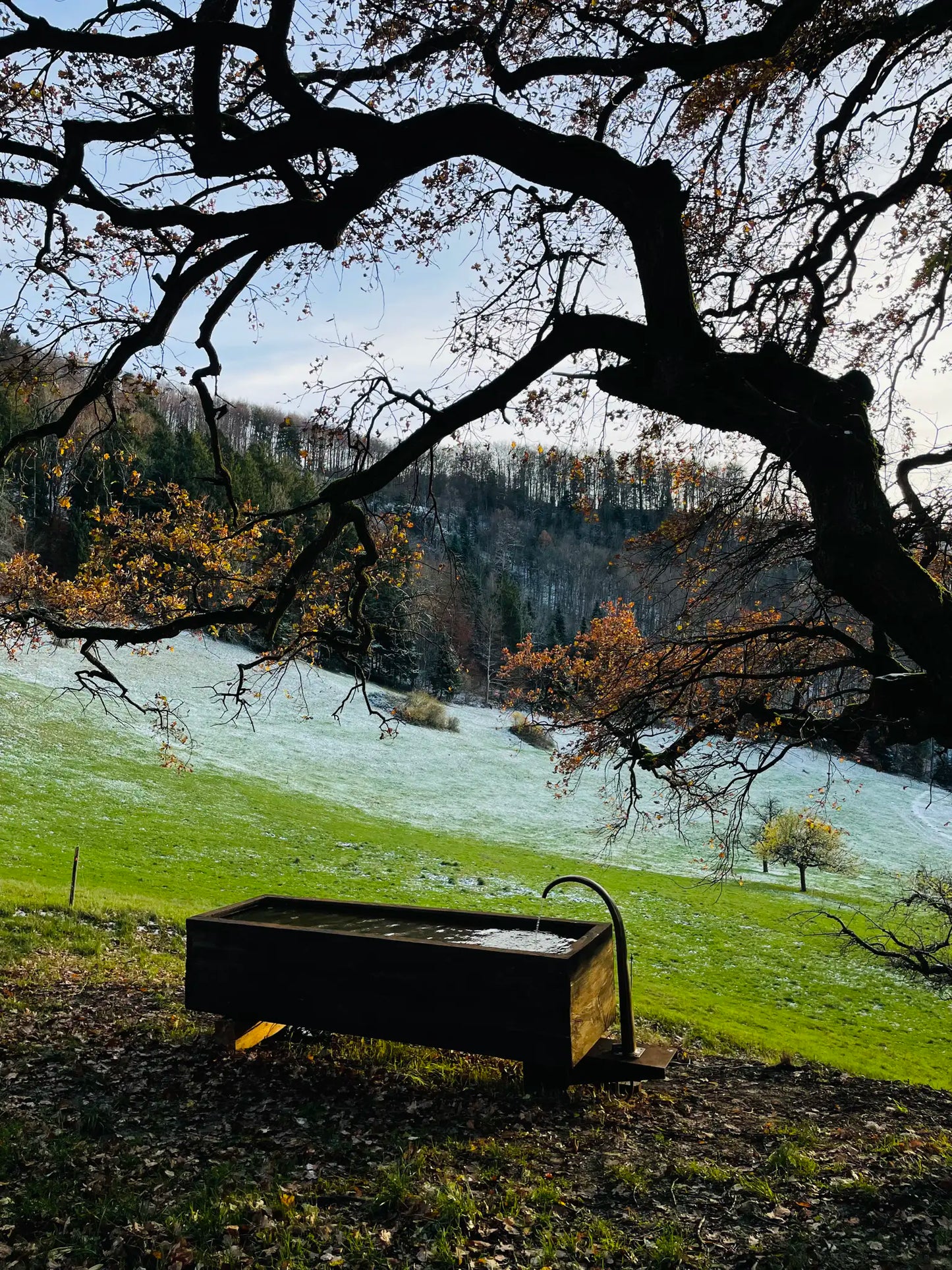 Eichenbrunnen – Künstlerisches Unikat aus Eiche und Stahl