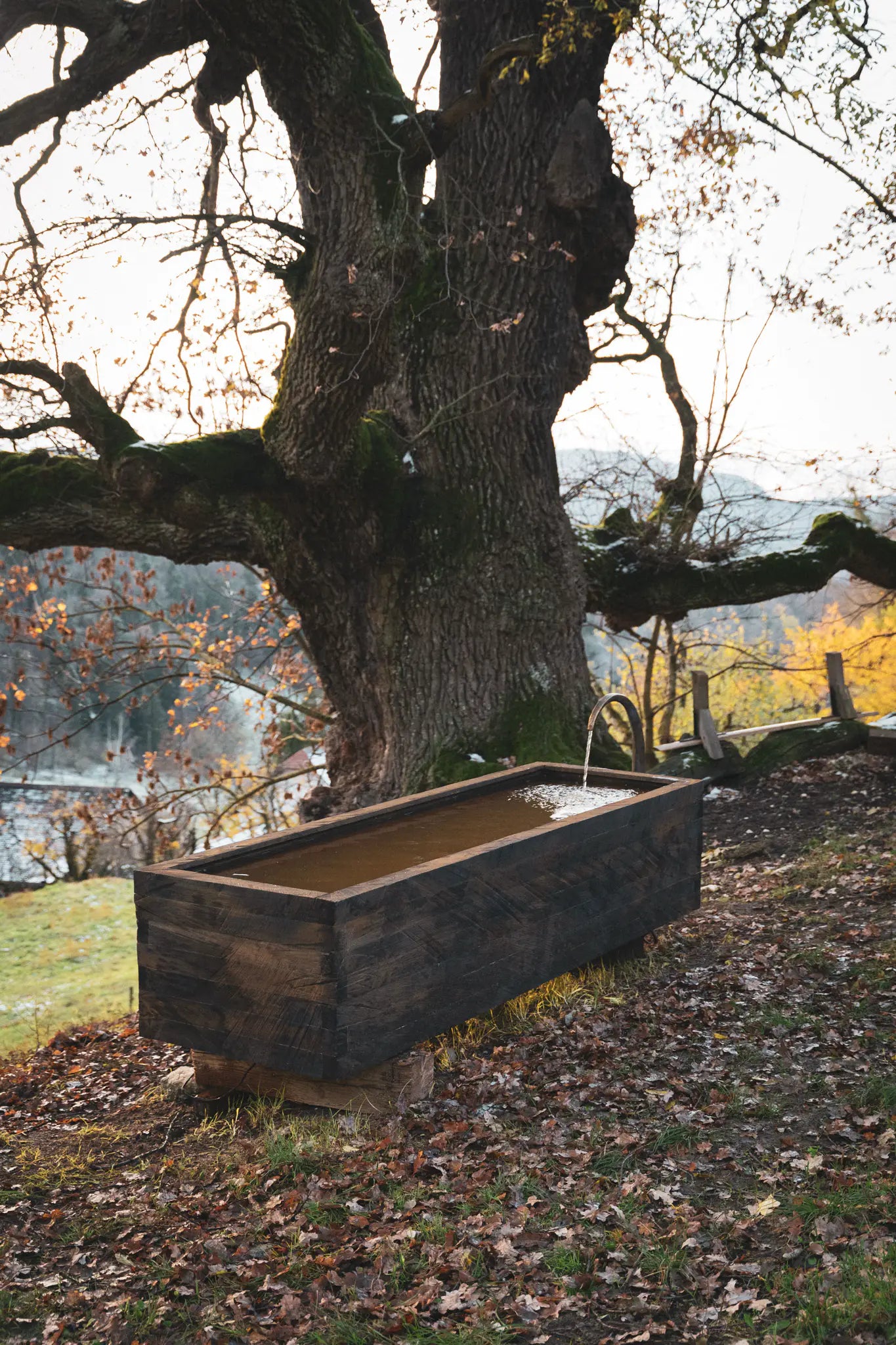 Eichenbrunnen – Künstlerisches Unikat aus Eiche und Stahl