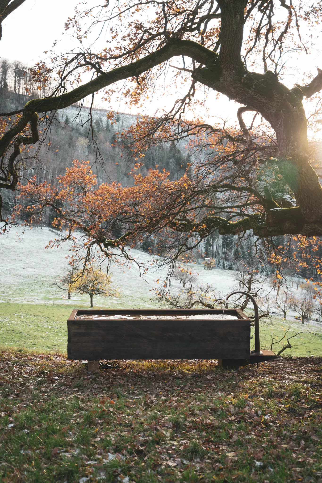 Eichenbrunnen – Künstlerisches Unikat aus Eiche und Stahl