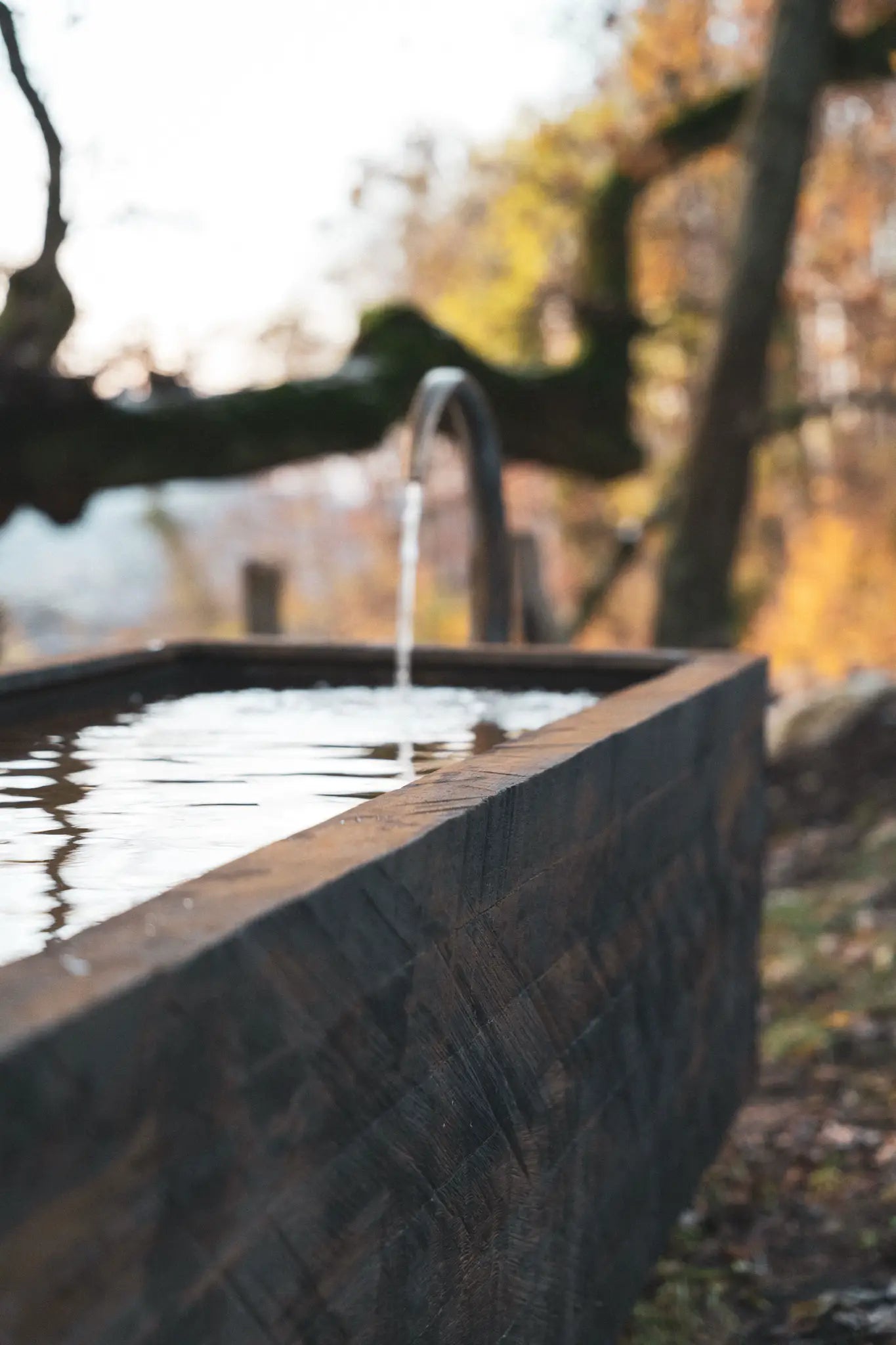 Eichenbrunnen – Künstlerisches Unikat aus Eiche und Stahl