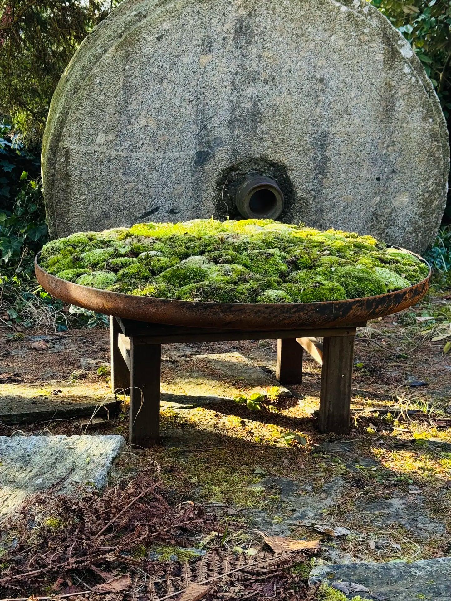 Moosschale – flachgewölbte Form