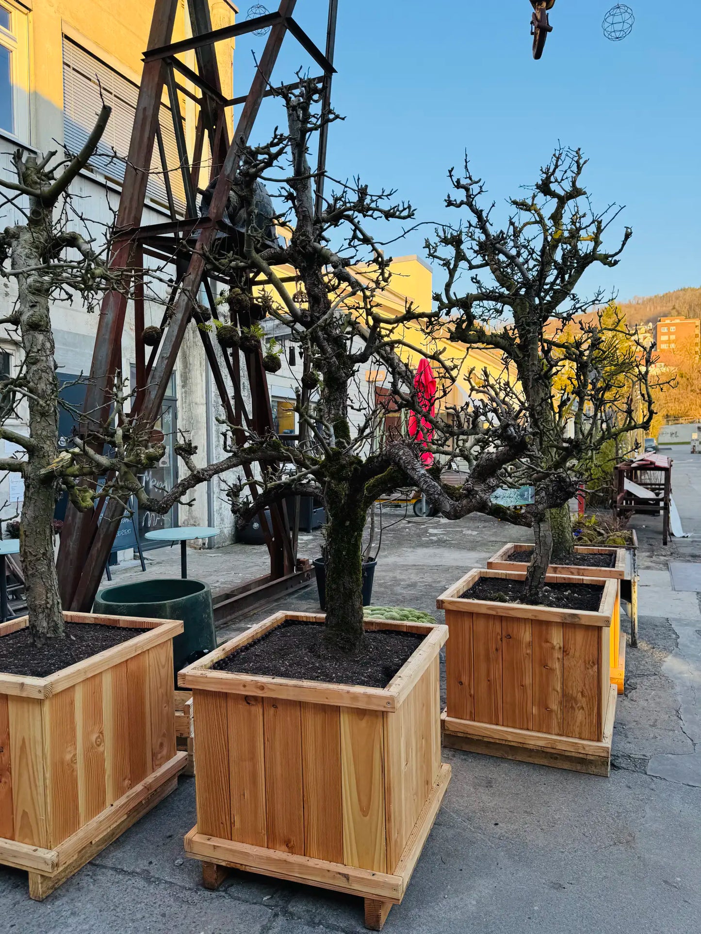 Holzgefässe aus Lärche