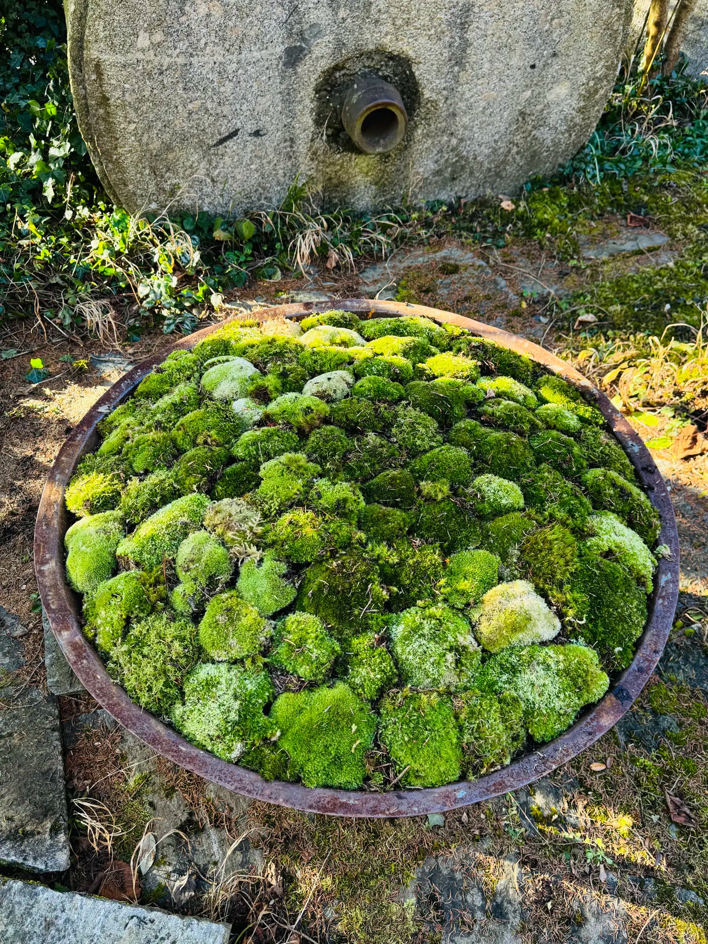Alte Stahlwanne aus Frankreich