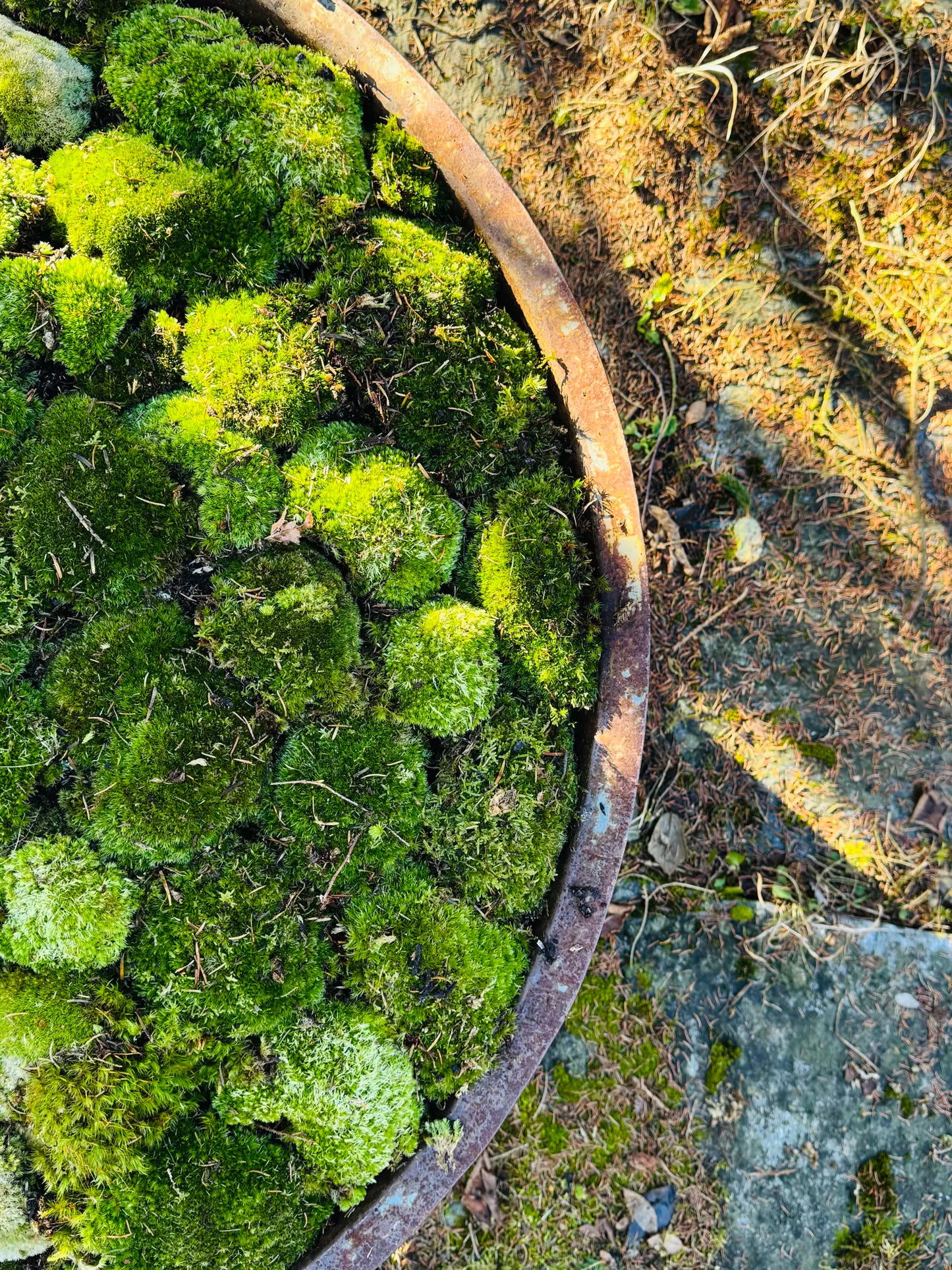 Alte Stahlwanne aus Frankreich